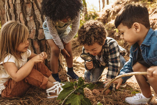 Schatzsuchen mit Kindern im Wald planen