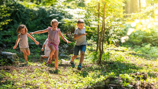 Kindergeburtstag- im -Wald -feiern