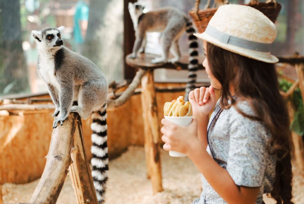 Zoo Schnitzeljagd PDF zum Ausdrucken: Die perfekte fertige Schatzsuche für den Kindergeburtstag mit 7-jährigen Kindern 🦒