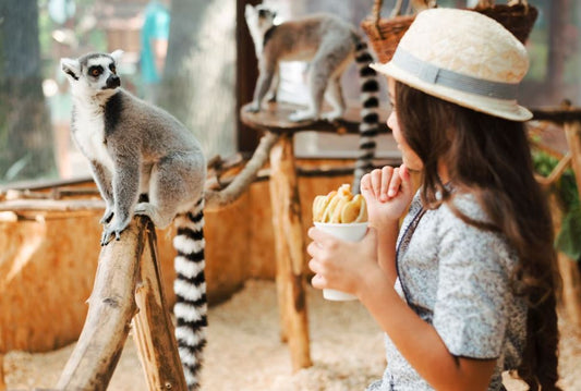 Zoo Schnitzeljagd PDF zum Ausdrucken: Die perfekte fertige Schatzsuche für den Kindergeburtstag mit 7-jährigen Kindern 🦒